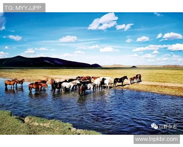 北京攀岩队创新防反策略助力竞技水平提升与团队协作发展