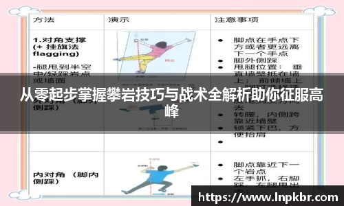 3377体育首页