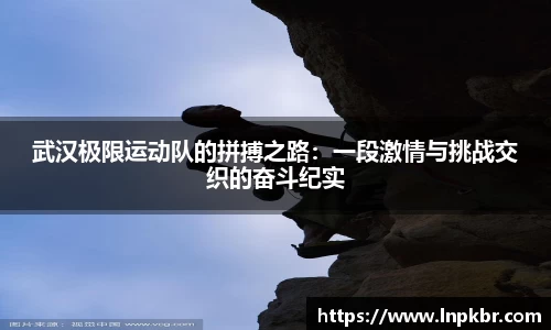 3377体育