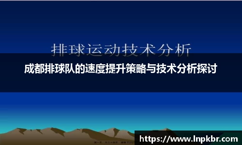 3377体育官网