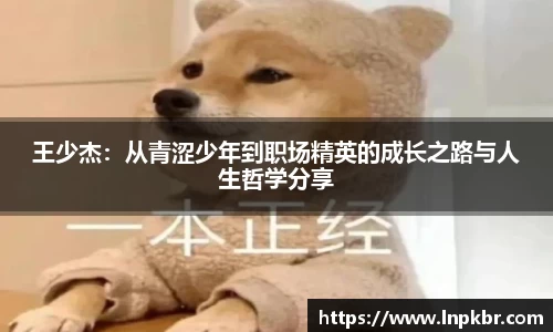 3377体育官网