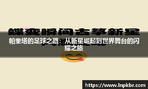 3377体育官网